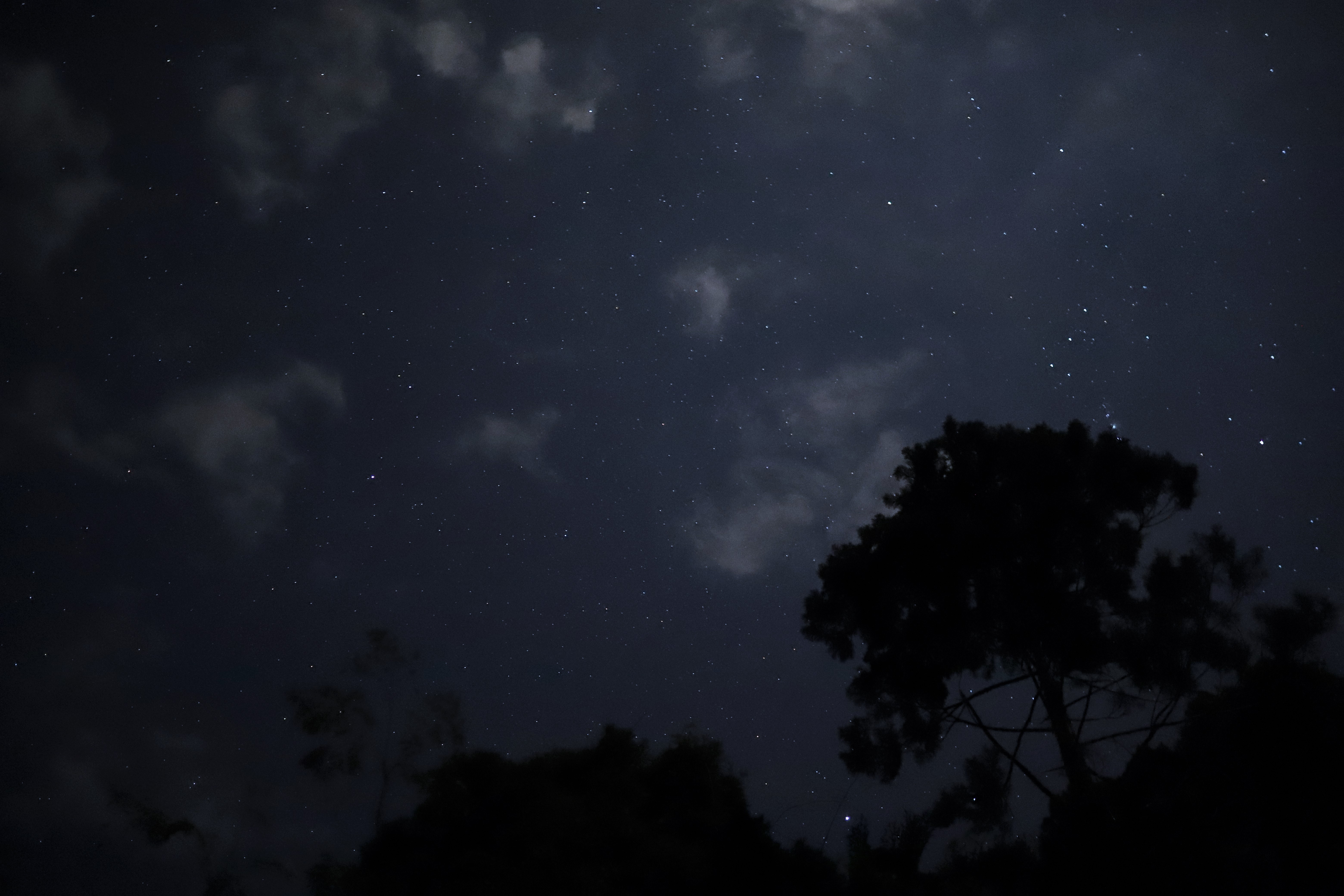 山甌の森の夜空